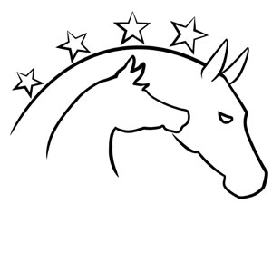 Stal Stammerland Logo